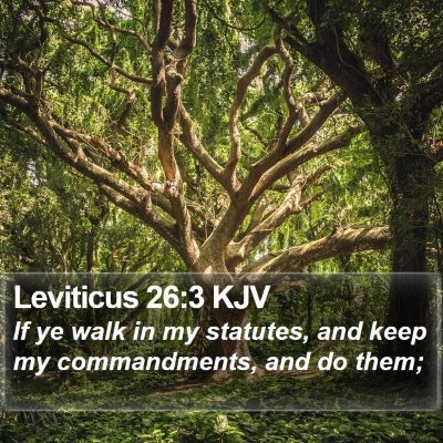 Leviticus 26:3 KJV Bible Verse Image