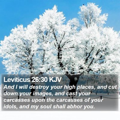 Leviticus 26:30 KJV Bible Verse Image