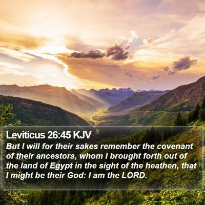 Leviticus 26:45 KJV Bible Verse Image