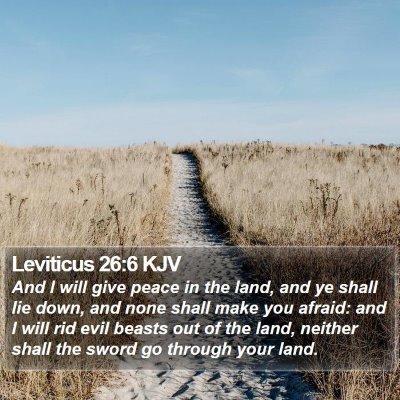 Leviticus 26:6 KJV Bible Verse Image