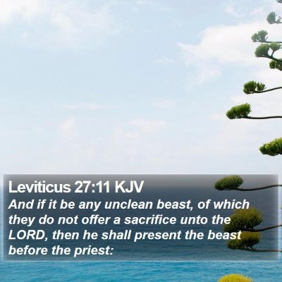 Leviticus 27:11 KJV Bible Verse Image