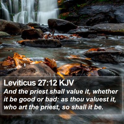 Leviticus 27:12 KJV Bible Verse Image
