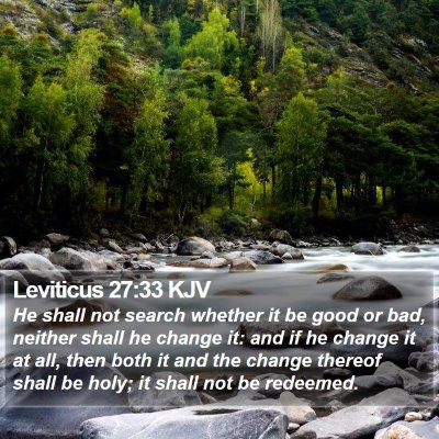 Leviticus 27:33 KJV Bible Verse Image