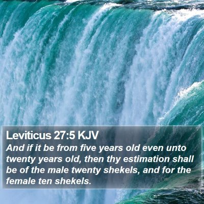 Leviticus 27:5 KJV Bible Verse Image
