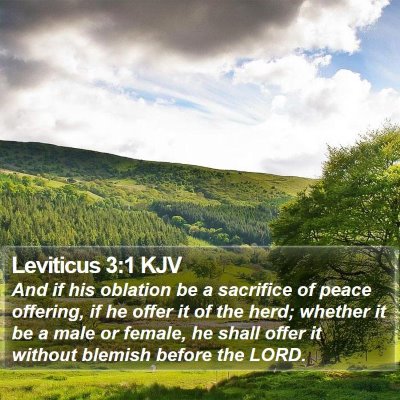Leviticus 3:1 KJV Bible Verse Image