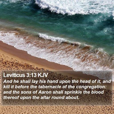 Leviticus 3:13 KJV Bible Verse Image