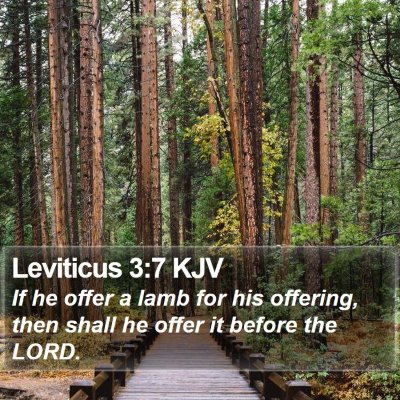 Leviticus 3:7 KJV Bible Verse Image