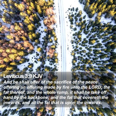 Leviticus 3:9 KJV Bible Verse Image