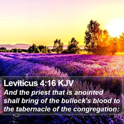 Leviticus 4:16 KJV Bible Verse Image