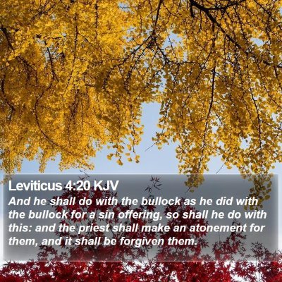 Leviticus 4:20 KJV Bible Verse Image