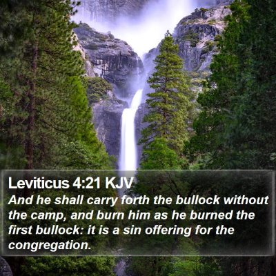 Leviticus 4:21 KJV Bible Verse Image