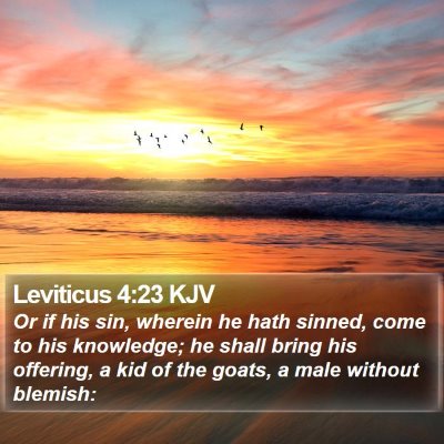 Leviticus 4:23 KJV Bible Verse Image