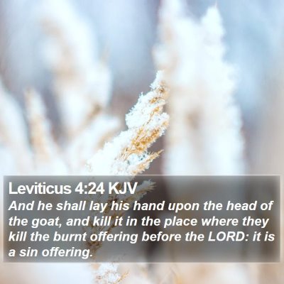 Leviticus 4:24 KJV Bible Verse Image
