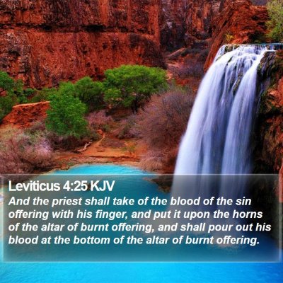 Leviticus 4:25 KJV Bible Verse Image