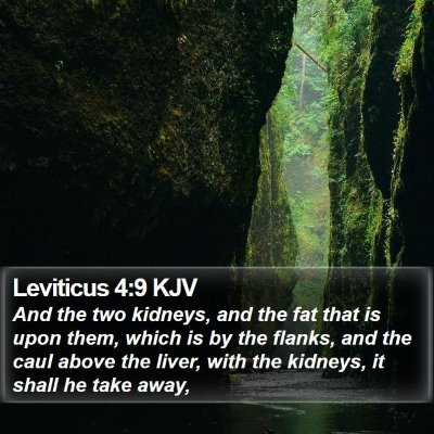 Leviticus 4:9 KJV Bible Verse Image