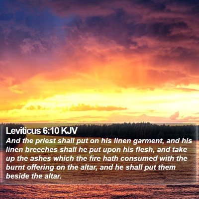 Leviticus 6:10 KJV Bible Verse Image