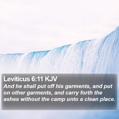 Leviticus 6:11 KJV Bible Verse Image