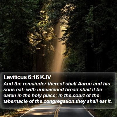 Leviticus 6:16 KJV Bible Verse Image