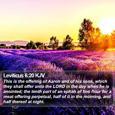 Leviticus 6:20 KJV Bible Verse Image