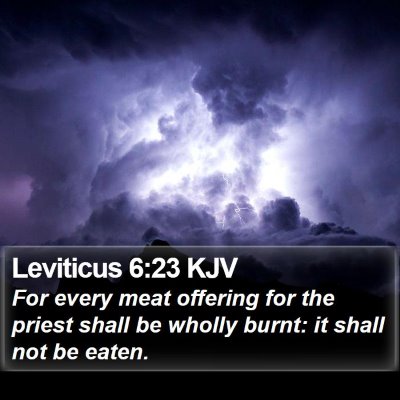 Leviticus 6:23 KJV Bible Verse Image