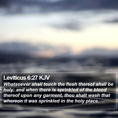 Leviticus 6:27 KJV Bible Verse Image