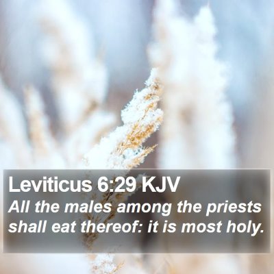 Leviticus 6:29 KJV Bible Verse Image