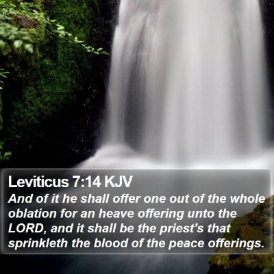 Leviticus 7:14 KJV Bible Verse Image