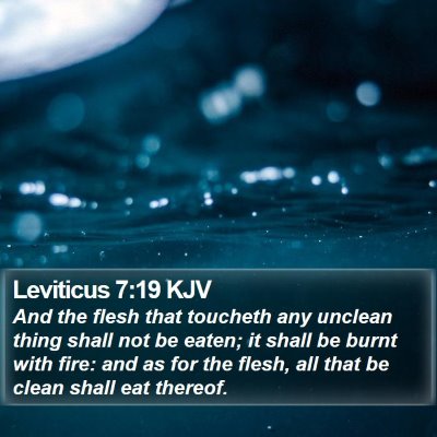 Leviticus 7:19 KJV Bible Verse Image