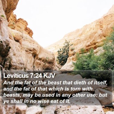 Leviticus 7:24 KJV Bible Verse Image
