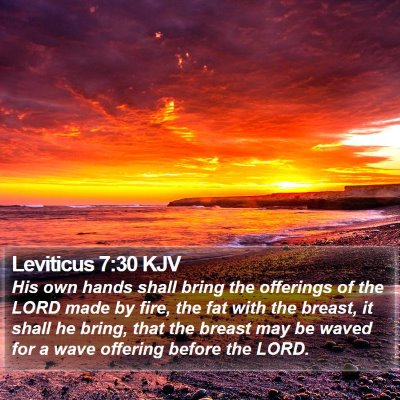 Leviticus 7:30 KJV Bible Verse Image