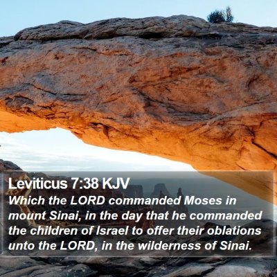 Leviticus 7:38 KJV Bible Verse Image