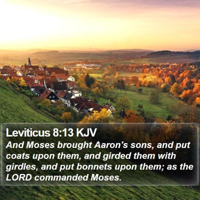 Leviticus 8:13 KJV Bible Verse Image