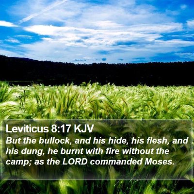 Leviticus 8:17 KJV Bible Verse Image