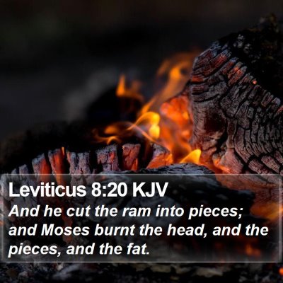 Leviticus 8:20 KJV Bible Verse Image