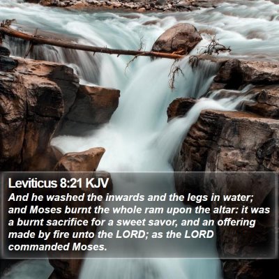 Leviticus 8:21 KJV Bible Verse Image