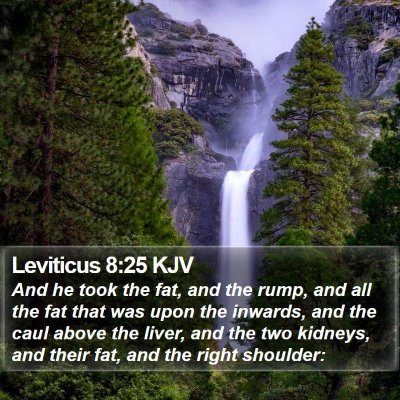 Leviticus 8:25 KJV Bible Verse Image