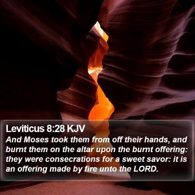 Leviticus 8:28 KJV Bible Verse Image