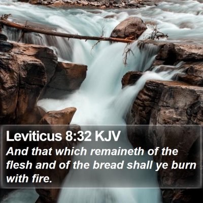 Leviticus 8:32 KJV Bible Verse Image