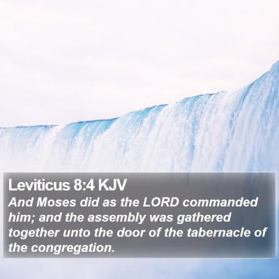 Leviticus 8:4 KJV Bible Verse Image