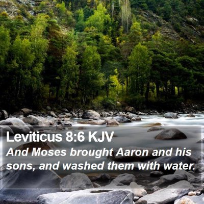 Leviticus 8:6 KJV Bible Verse Image
