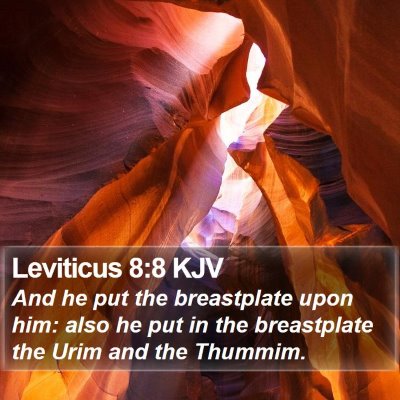 Leviticus 8:8 KJV Bible Verse Image