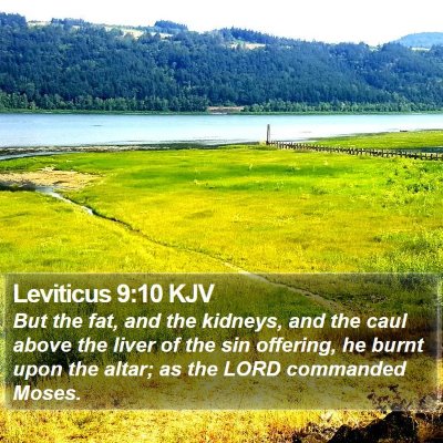 Leviticus 9:10 KJV Bible Verse Image