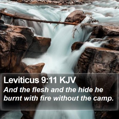 Leviticus 9:11 KJV Bible Verse Image