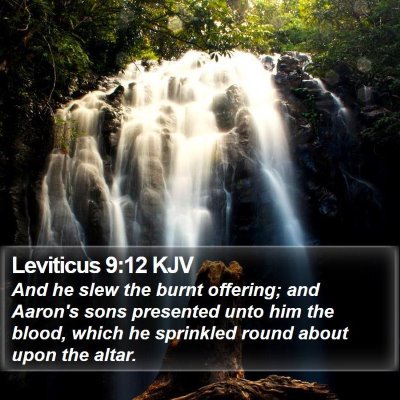 Leviticus 9:12 KJV Bible Verse Image