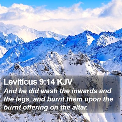 Leviticus 9:14 KJV Bible Verse Image