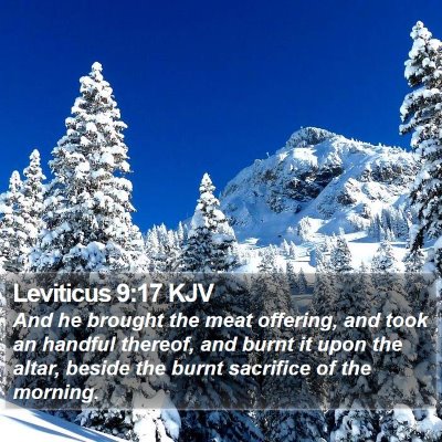 Leviticus 9:17 KJV Bible Verse Image