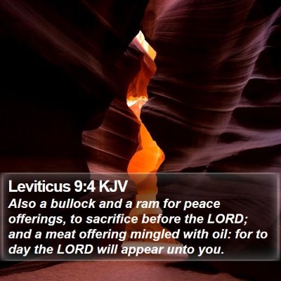 Leviticus 9:4 KJV Bible Verse Image