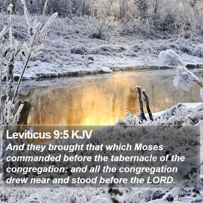 Leviticus 9:5 KJV Bible Verse Image