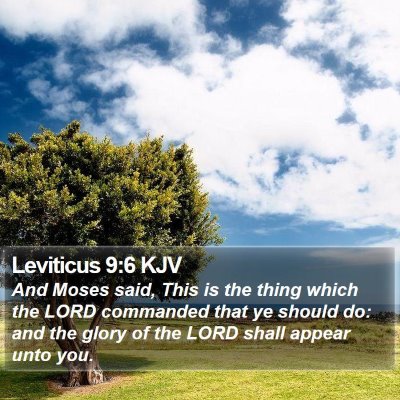 Leviticus 9:6 KJV Bible Verse Image