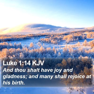 Luke 1:14 KJV Bible Verse Image